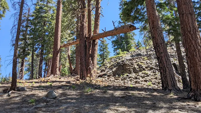 Reds Meadow Campground Picture 4