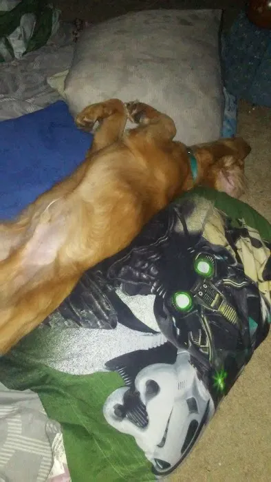 Scottsdale Picture 6