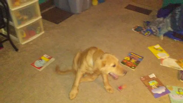 Scottsdale Picture 7