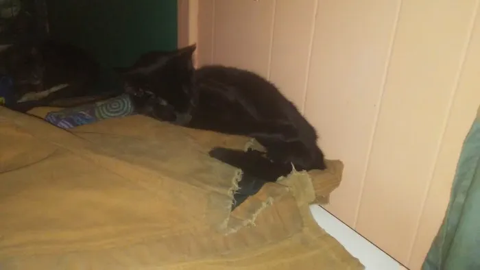 Scottsdale Picture 4