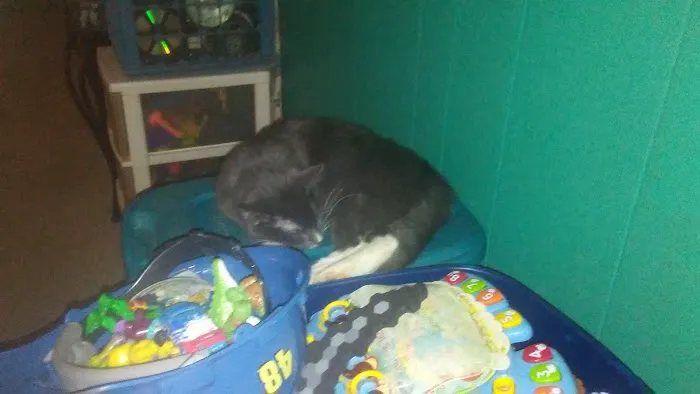 Scottsdale Picture 8