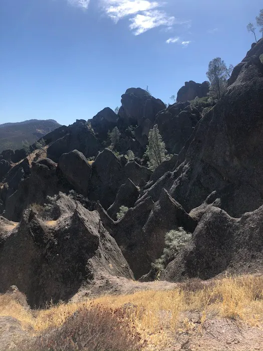 Pinnacles Campground Store Picture 7