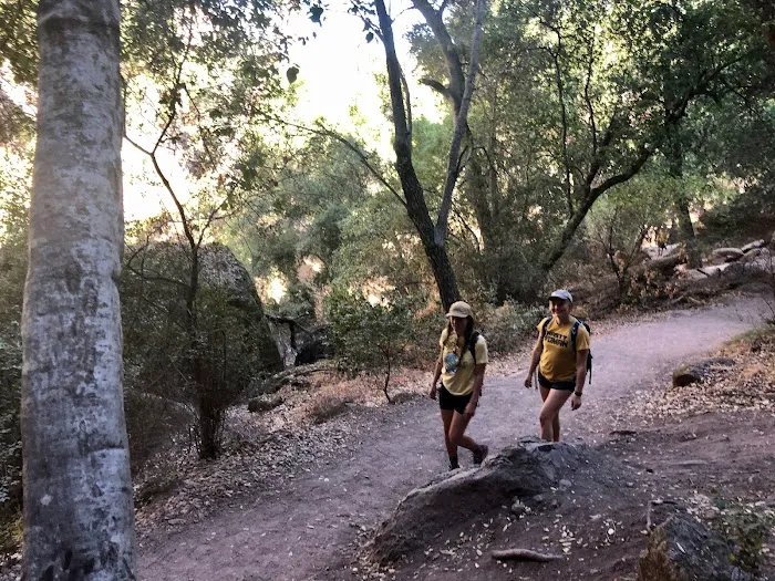 Pinnacles Campground Store Picture 5