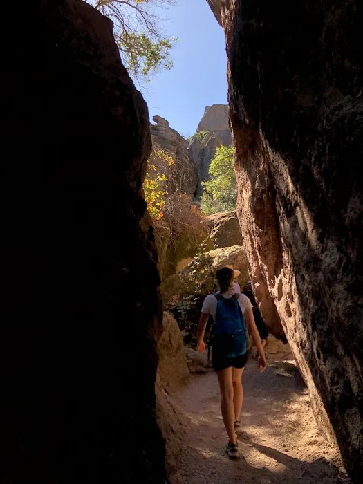 Pinnacles Campground Picture 10