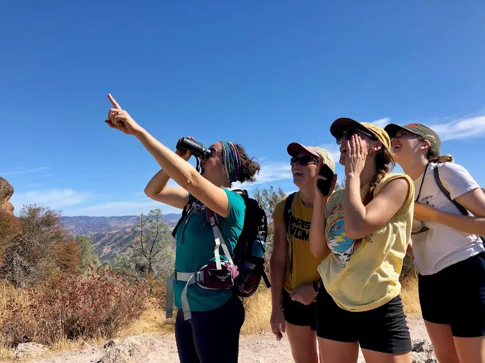 Pinnacles Campground Picture 8
