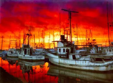 Moss Landing KOA Express Picture 5