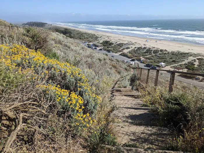 Sunset State Beach Campground Picture 1