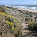 Sunset State Beach Campground
