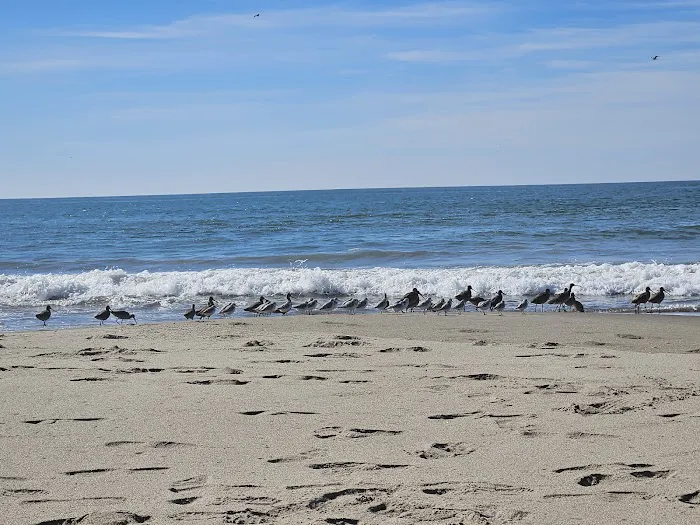 Sunset State Beach Campground Picture 2