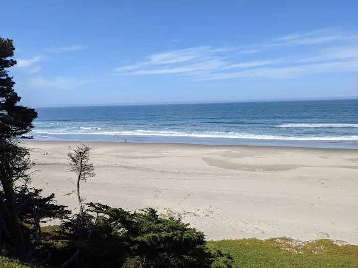 Sunset State Beach Campground Picture 5