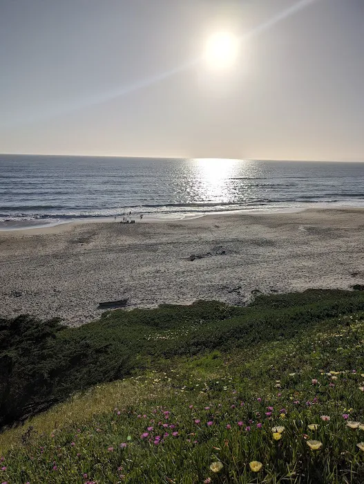 Sunset State Beach Campground Picture 4