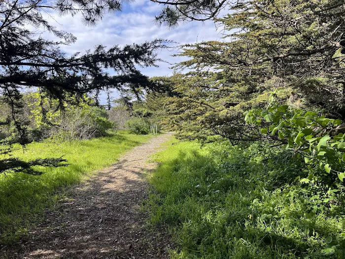 Sunset State Beach Campground Picture 10