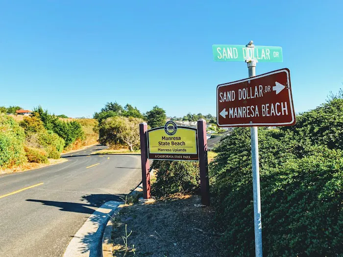 Manresa Uplands State Beach & Campground Picture 2