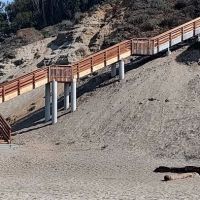 Manresa Uplands State Beach & Campground ico