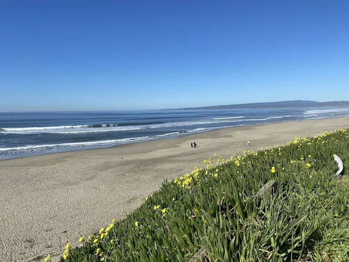 Manresa Uplands State Beach & Campground Picture 3