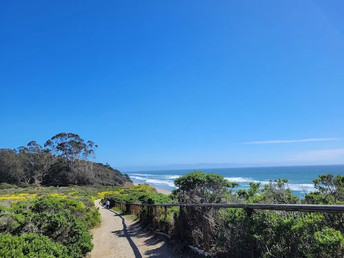 Manresa Uplands State Beach & Campground Picture 5