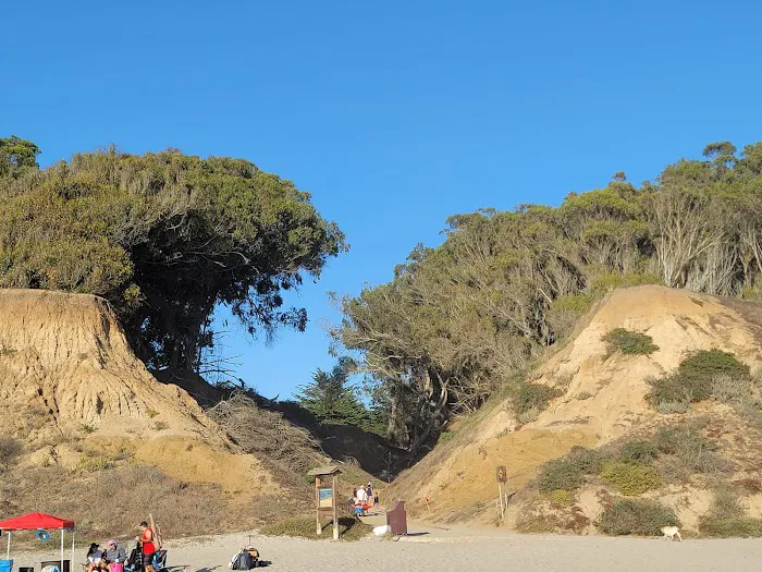 Manresa Uplands State Beach & Campground Picture 8