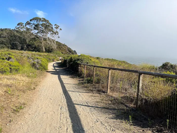 Manresa Uplands State Beach & Campground Picture 7