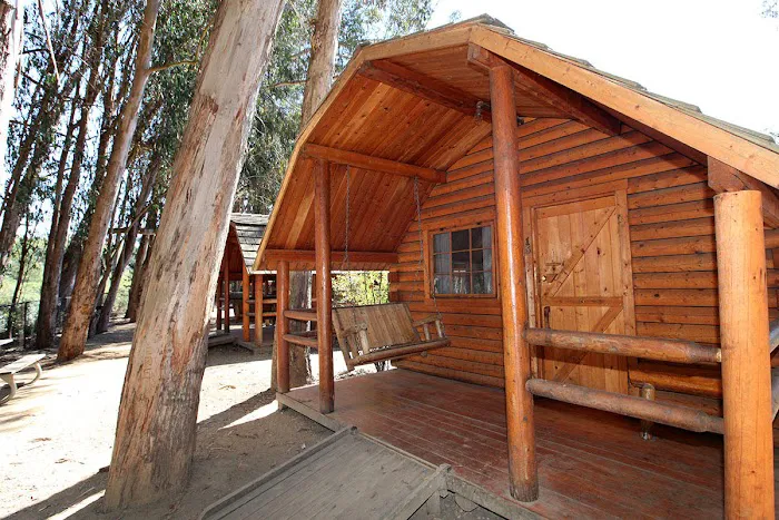 Santa Cruz / Monterey Bay KOA Holiday Picture 3