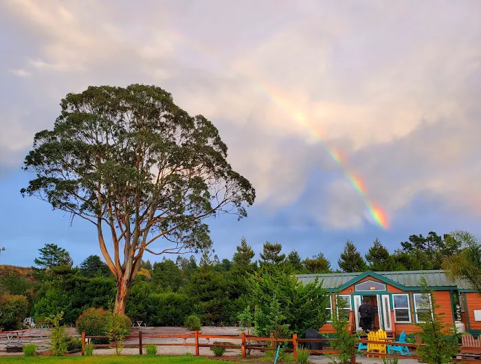 Santa Cruz / Monterey Bay KOA Holiday Picture 7