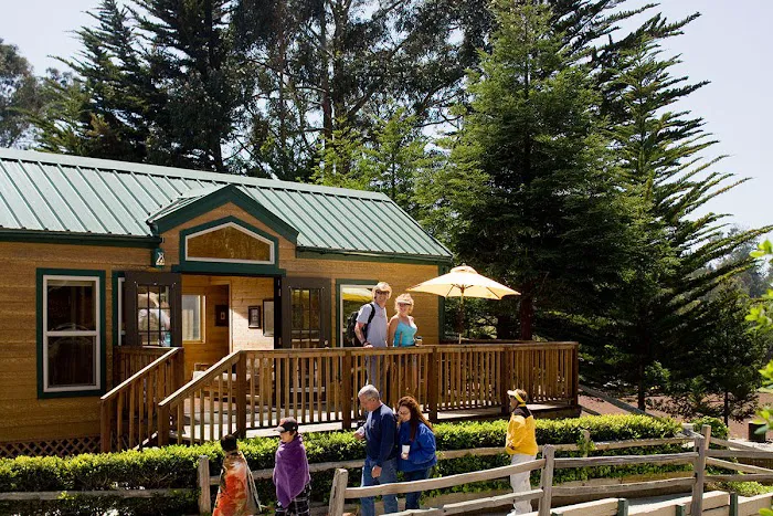 Santa Cruz / Monterey Bay KOA Holiday Picture 5