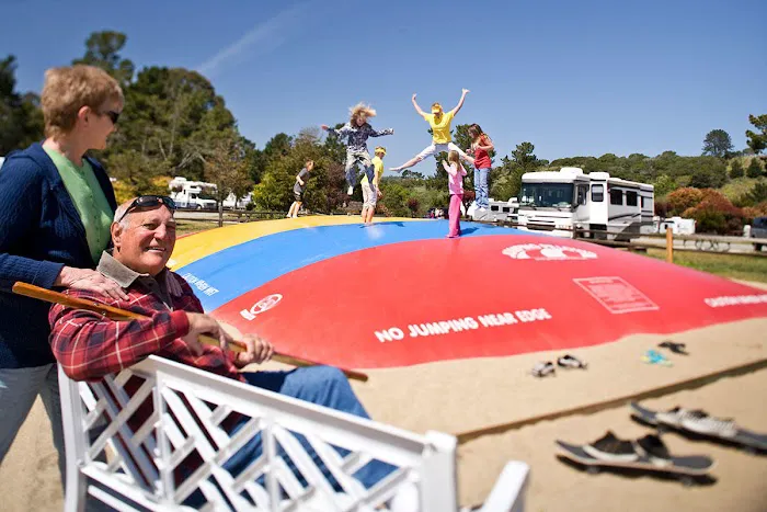 Santa Cruz / Monterey Bay KOA Holiday Picture 4