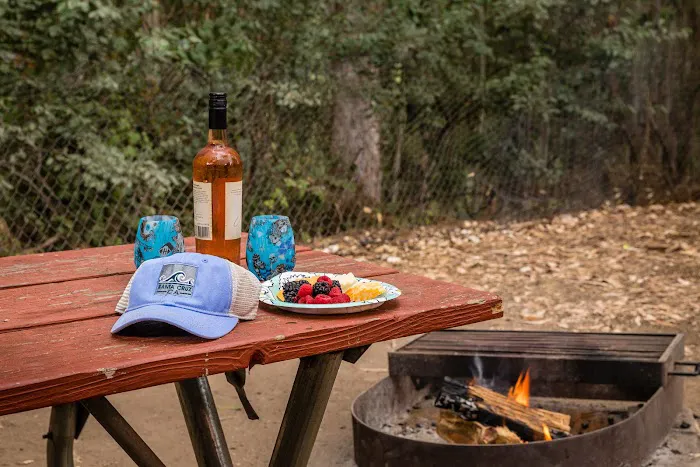 Santa Cruz / Monterey Bay KOA Holiday Picture 6