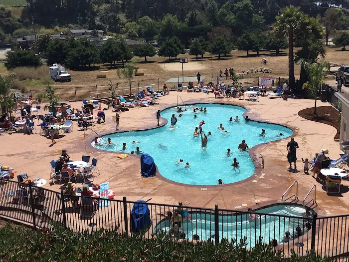 Santa Cruz / Monterey Bay KOA Holiday Picture 8