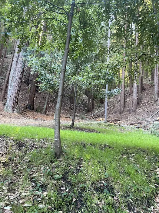 Hidden Falls Girl Scout Camp Picture 1