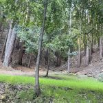 Hidden Falls Girl Scout Camp