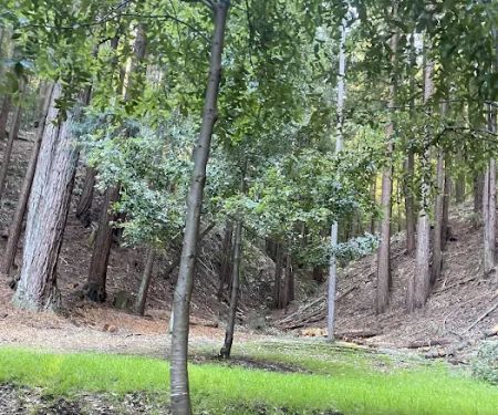 Hidden Falls Girl Scout Camp