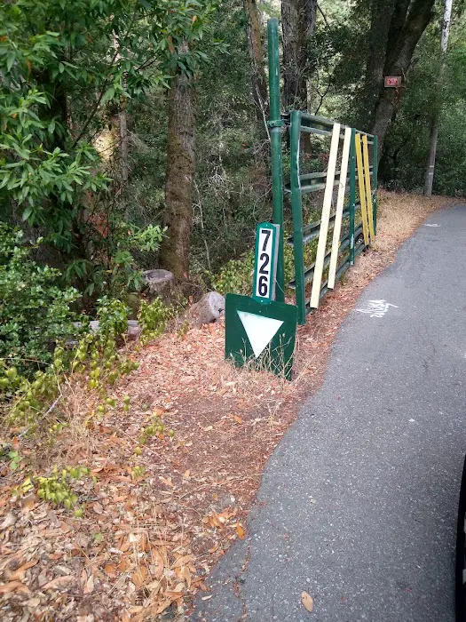 Hidden Falls Girl Scout Camp Picture 4