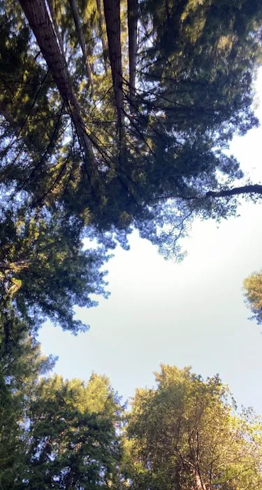 Hidden Falls Girl Scout Camp Picture 5