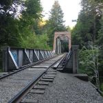 Henry Cowell Redwoods State Park Campground