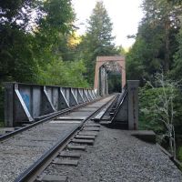 Henry Cowell Redwoods State Park Campground ico