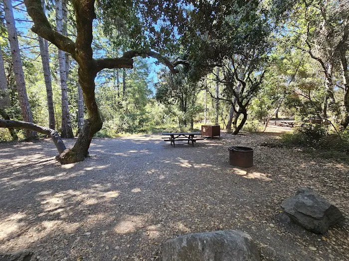 Henry Cowell Redwoods State Park Campground Picture 3