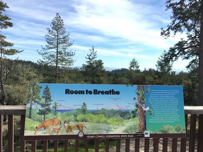 Henry Cowell Redwoods State Park Campground Picture 7