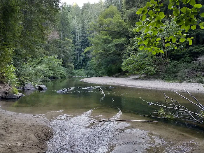 Henry Cowell Redwoods State Park Campground Picture 4