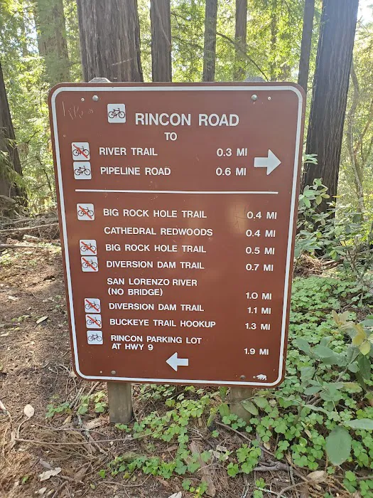 Henry Cowell Redwoods State Park Campground Picture 5