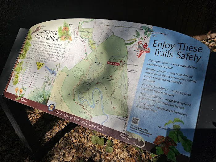 Henry Cowell Redwoods State Park Campground Picture 6
