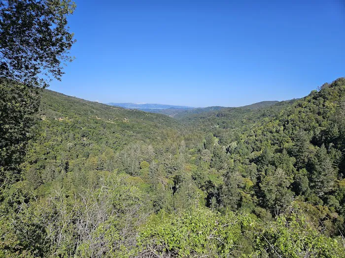 Upper Bench Picture 1