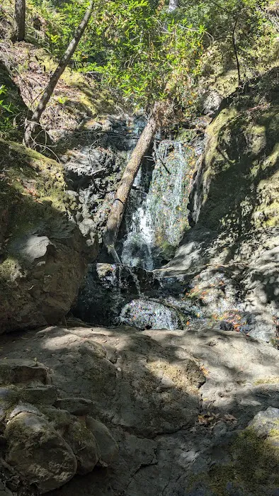 Uvas Campground Picture 6