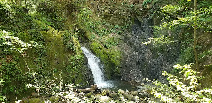 Uvas Campground Picture 5