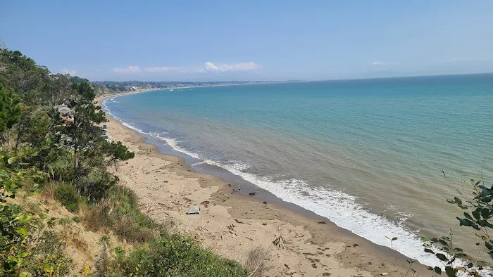 Campground | New Brighton State Beach Picture 1