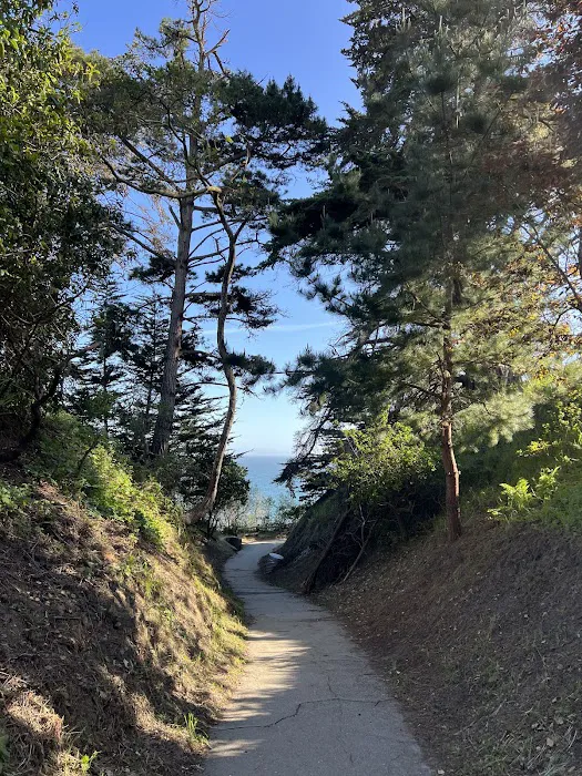 Campground | New Brighton State Beach Picture 9