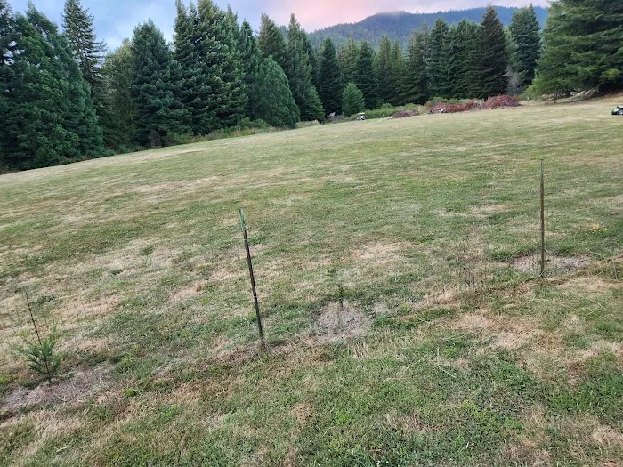 Sttaford RV park Picture 1