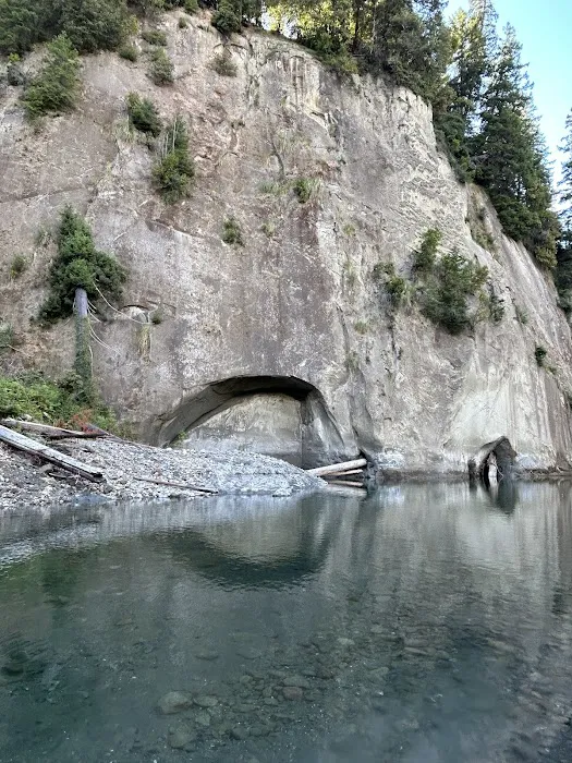 Swimmers Delight Picture 1