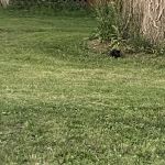 Paxton Mobile Home Park