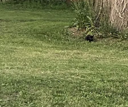 Paxton Mobile Home Park