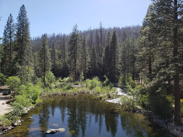 Ross Crossing Campground Picture 3